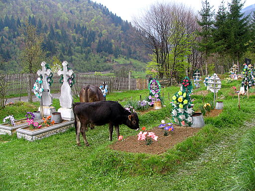 Transcarpathian cemetery (Ukraine)